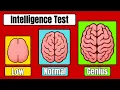 Only 9 Can Pass This Intelligence Test - Can You