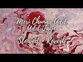 Meri Chunar Udd Udd Jaye - Slowed + Reverb