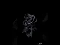 Download Lagu Selena Gomez - Hands To Myself (Official Audio)