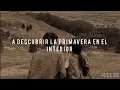 Roma - Torreblanca (Letra)