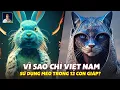 VI SAO NAM MAO O VIET NAM LA MEO CON TRUNG NHAT HAN LAI LA THO
