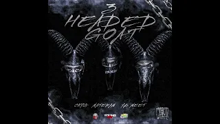ghost worldwide 3hg