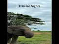 Crimson Nights