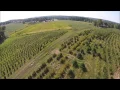 Grower explains How to start a Tree Farm