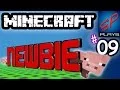 Minecraft Newbie - Farts Crafts