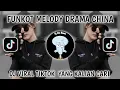 Lagu FUNKOT DRAMA CHINA CEO VIRAL TIKTOK TERBARU 2025 YANG KALIAN CARI CARI-JJ CEO VIRAL TIKTOK