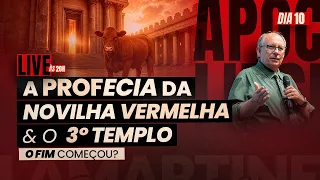 URGENTE: A Profecia da Novilha Vermelha e o 3º Templo - O Fim Começou? - APOCALIPSE EM 21 DIAS