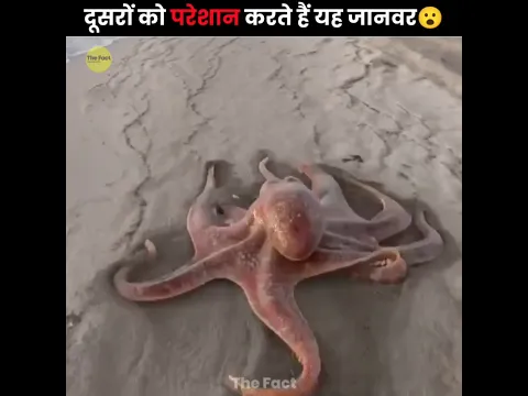 These Animals Annoy Others 😧