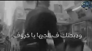 حالةواتس ايفا الايرانى مهرجان البت الى انا بعشقها 