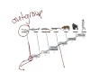 Cladogram for Q3 reteaching