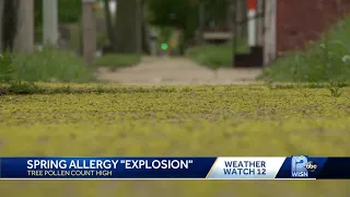 How it s done Conducting pollen counts