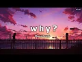 WHY ? | Katil Adaavan Ne | Slowed Reverb 