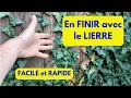 Se DÉBARRASSER du LIERRE: RAPIDE et FACILE