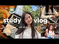 STUDY VLOG productive days lots of studying hku presentations