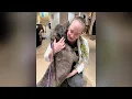 Humane Society of Missouri says dogs rescued from Stone County are being adopted