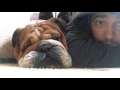 Playing With Roscoe and Coco Lewis Hamilton Vlogs