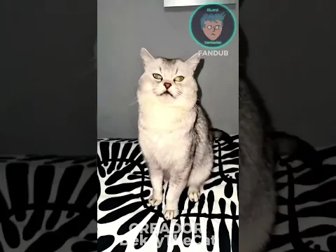 Deksy el gato que ladra y CANTA!!! #doblaje #fandub