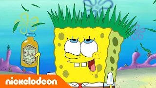 سبونج بوب مستر سلطع وكارين أصدقاء Nickelodeon Arabia 
