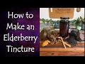 How to Make and Use an Elderberry Tincture