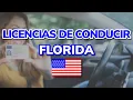 Types of Driver s Licenses in Florida USA