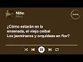 Milo j - Niño (Letra/Lyrics)
