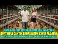 Download Lagu BULE CANTIK RELA TINGGALKAN SEGALANYA DEMI PRIA PETERNAK AYAM INDONESIA