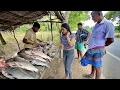 You Won t Believe How This Village Fishmonger Sell Out Before Noon on the Scenic Island Road