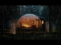 Download Lagu Forest Rainfall Soundscape – Sleep \u0026 Stress Relief