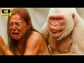 Download Lagu 5 Million Years Ago | How Did King Kong and the Beauty Save the Little Monkey from the Giant Python?