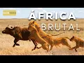 Download Lagu ÁFRICA DO SUL: A Última Fronteira Selvagem [Documentário Completo]