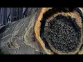 Download Lagu 120 seconds before disaster damaged wood at the sawmill occurred