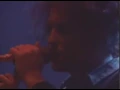 Download Lagu The Cure - Pictures Of You ( Live Wembley Arena 1991 )