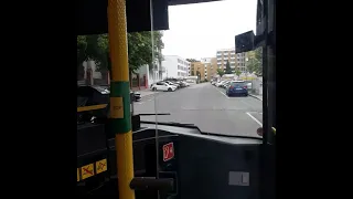                                   دندنها