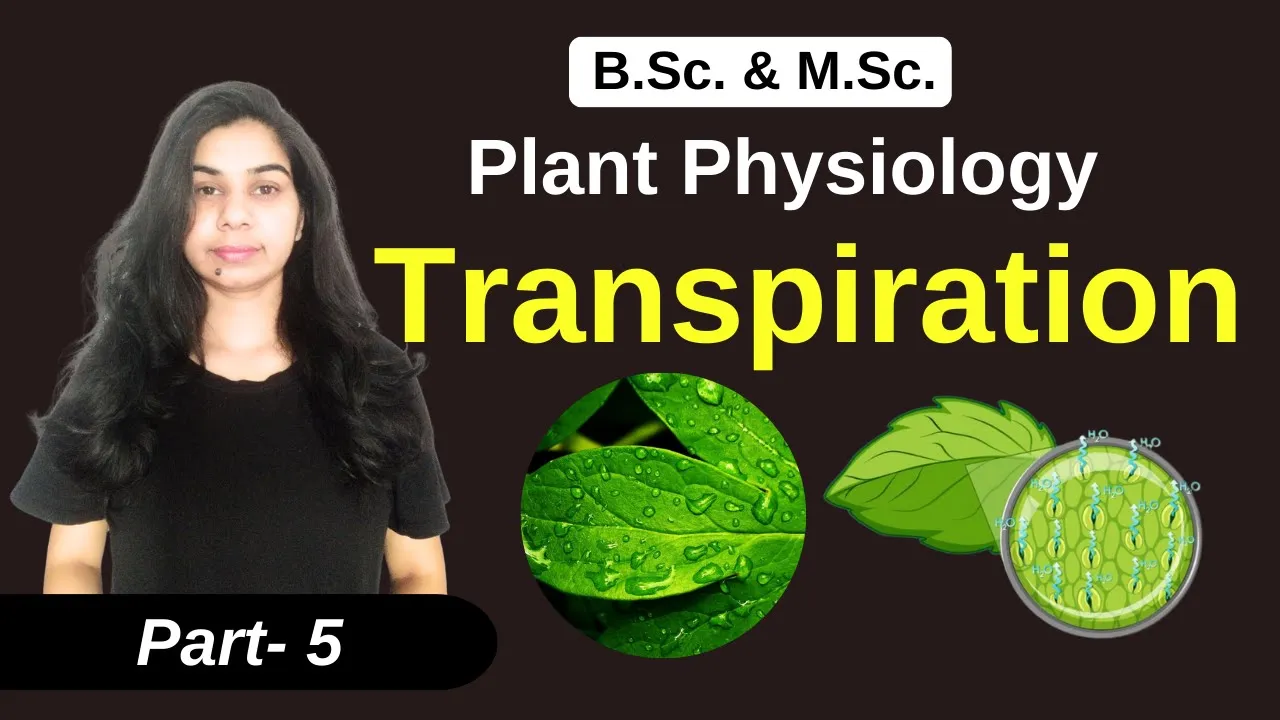 Plant physiology || Transpiration || Mechanism || Theories || Factors affecting Transpiration