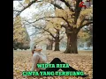 Download Lagu Widya Riza - Cinta Yang Terbuang