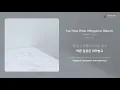 Gambler Studio - Tea Time (Feat. Mingginyu, Blew.D) | 가사 (Lyrics)