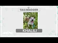 Tuesday Tailwagger Meet Khalili