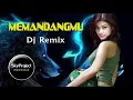 Download Lagu DJ Memandangmu - Ikke Nurjanah  (Remix Fullbass 2021)