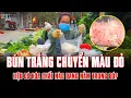Download Lagu Bất ngờ Bún chuyển từ trắng sang đỏ – hóa chất gì đang nằm trong đó? | TBL News