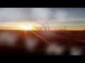 Window - The Album Leaf