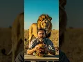 Download Lagu Man is eating while lion is behind him #animal #lion #animals #pets