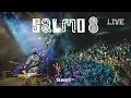 Download Lagu Trinity (NL) - Salmo 8 (Live From Peru)
