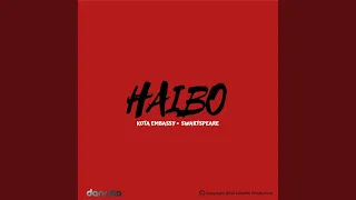 haibo original mix 