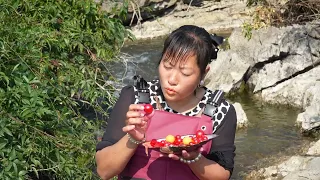 Wade along quiet muddy waters searching for rare bright pearls sealed within strange wild river clam