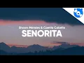 Download Lagu Shawn Mendes, Camila Cabello - Señorita (Clean - Lyrics)