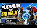 I just got the PLATINIUM TROPHY on big walk