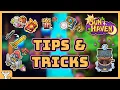 Sun Haven 14 Things I Wish I Knew When I Started Playing