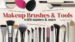 Makeup Brushes Guide for Beginners Professional Artists With Demonstrations