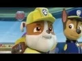 PAW Patrol Meet All Pups