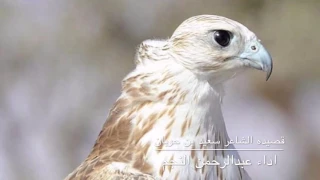 شله الموسم كلمات الشاعر سعيد بن حوبان المري اداء المنشد عبدالرحمن النجم 